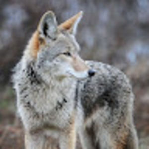 Meet your Posher, Jake